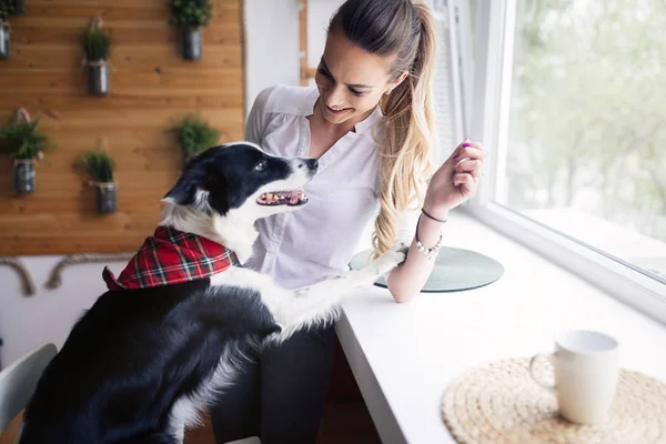 Schöne Frau mit ihrem Hund — Stockfoto