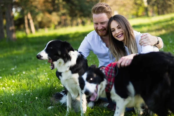 Güzel çift yürüyüş köpekler 