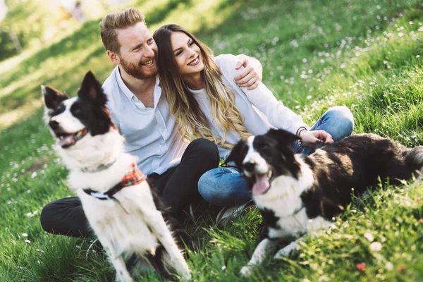  Çift yürüyüş köpekler 