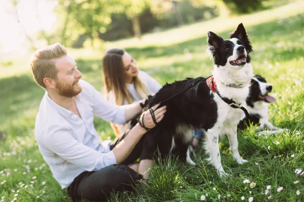 Pareja romántica enamorada paseando perros —  Fotos de Stock