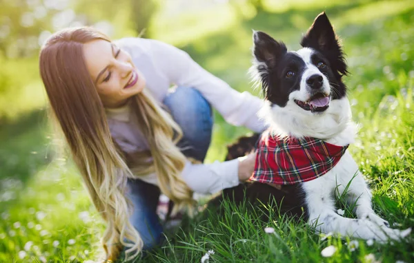 köpeği yürüyüşe kadın tarafından alınan