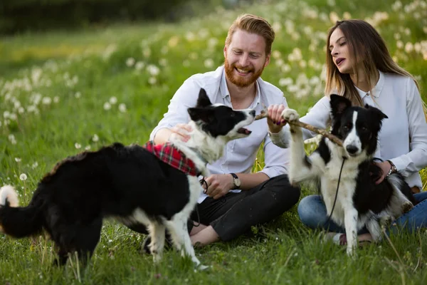 Hermosa pareja paseando perros —  Fotos de Stock