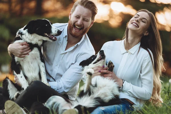 Pareja romántica enamorada paseando perros —  Fotos de Stock