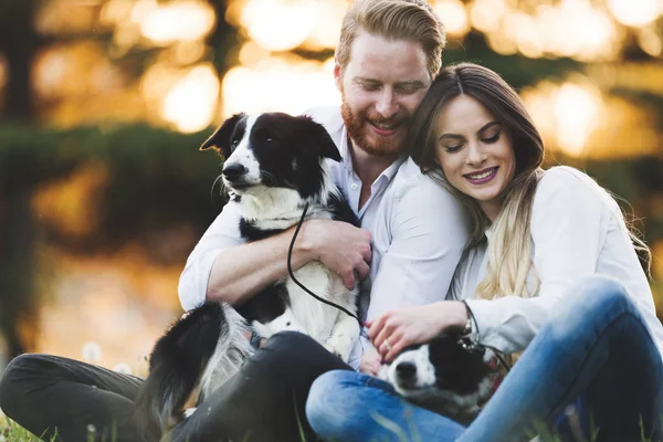 Romantic couple in love walking dogs — Stock Photo, Image