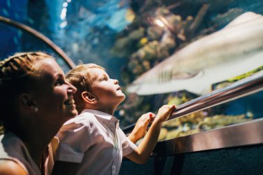 Anne ve oğlu deniz yaşamını izlemek
