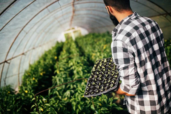 Joven haciendo planta — Foto de Stock