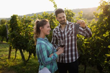 Üzüm hasat önce mutlu çift
