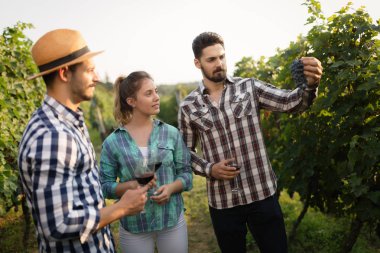 Şarap üretici ve bağ insanlarda