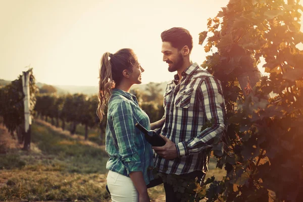 Üzüm hasat önce mutlu çift