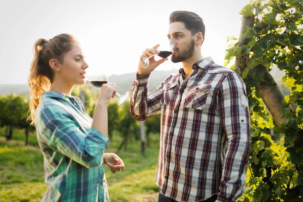 Lyckliga paret i vingården före skörd — Stockfoto