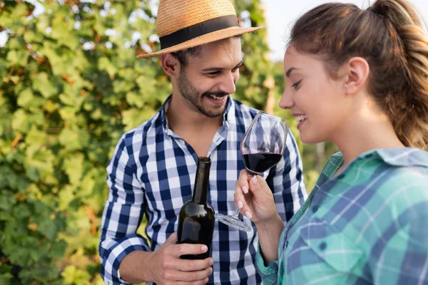 Kadın tatma şarap üzüm bağı