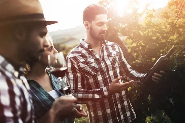 Winzer und Menschen im Weinberg — Stockfoto