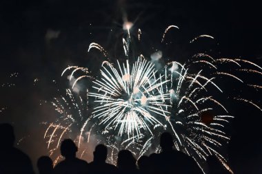 Kalabalık havai fişek izlerken