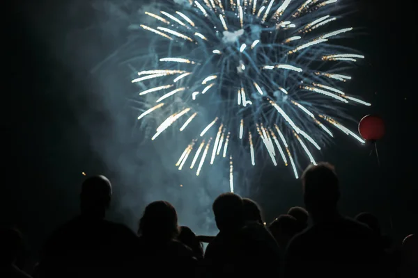 Menigte kijken vuurwerk — Stockfoto