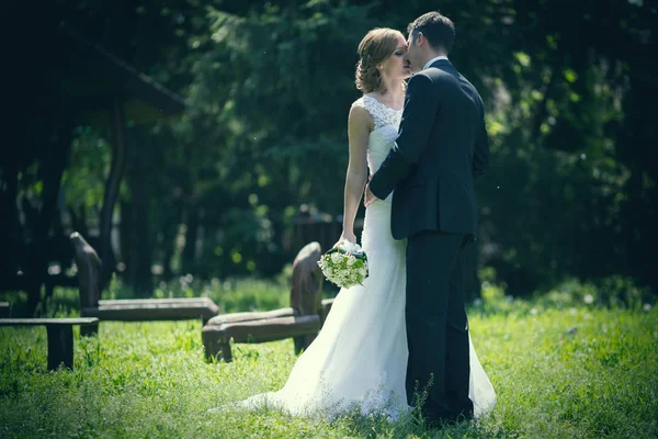 Beautiful bride and groom — Stock Photo, Image