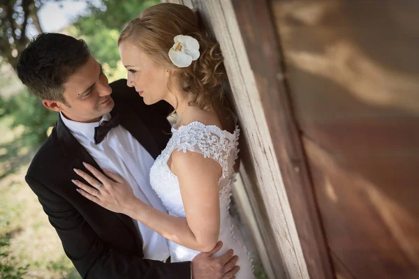 Bella sposa e sposo — Foto Stock