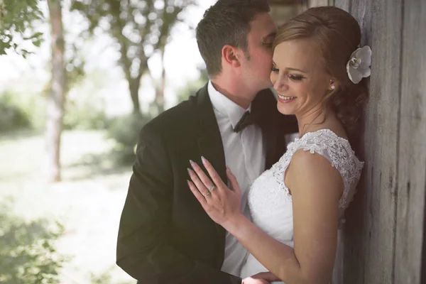 Beautiful bride and groom — Stock Photo, Image