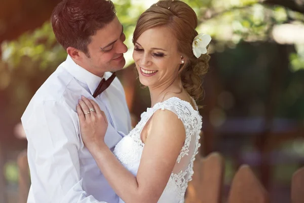 Gyönyörű menyasszony és a vőlegény, csók — Stock Fotó