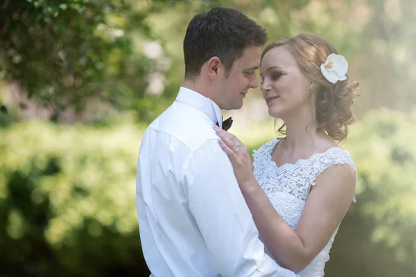 Bela noiva e noivo beijando — Fotografia de Stock