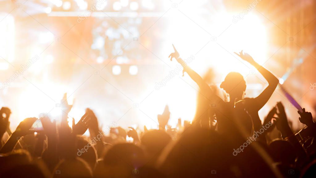 Crowd enjoying concert at festival