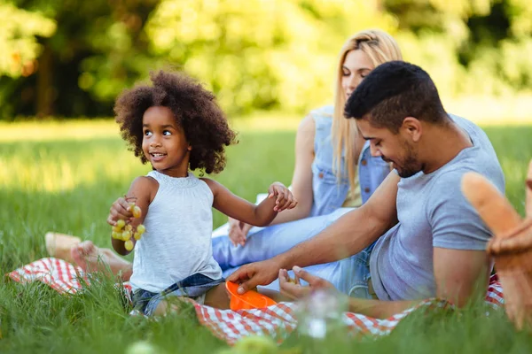 Rodina baví čas na piknik — Stock fotografie