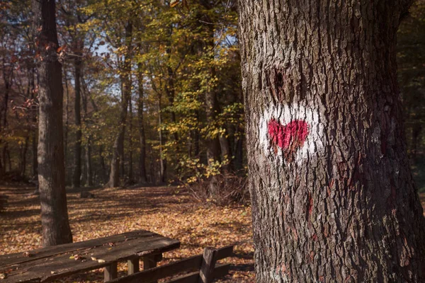 Czerwone serce namalowane na drzewo — Zdjęcie stockowe
