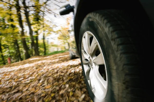 Roda do carro na floresta — Fotografia de Stock