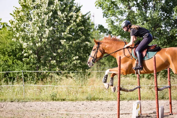 Jockey on horse leaping over hurdle — Stock Photo, Image