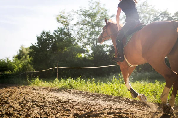 Kvinna ridning häst — Stockfoto