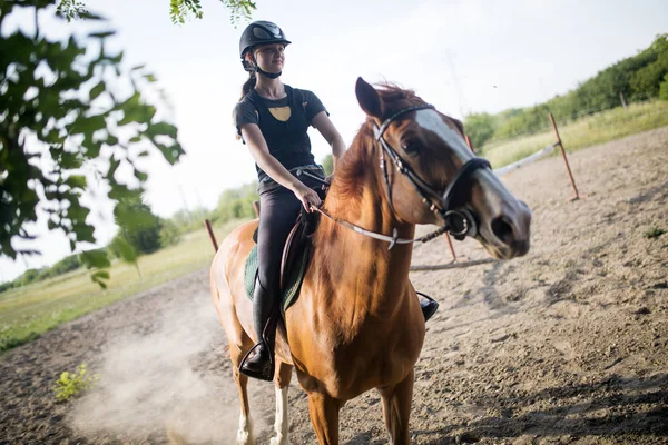 Femme cheval d'équitation — Photo