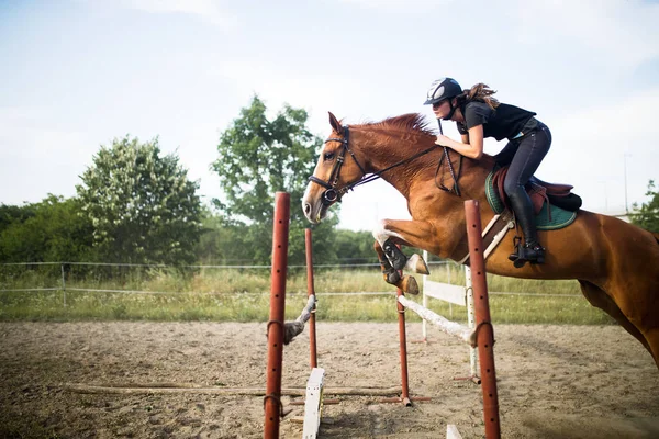 Jockey no cavalo pulando sobre obstáculo — Fotografia de Stock