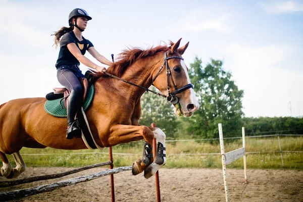 Jockey on horse leaping over hurdle — Stock Photo, Image