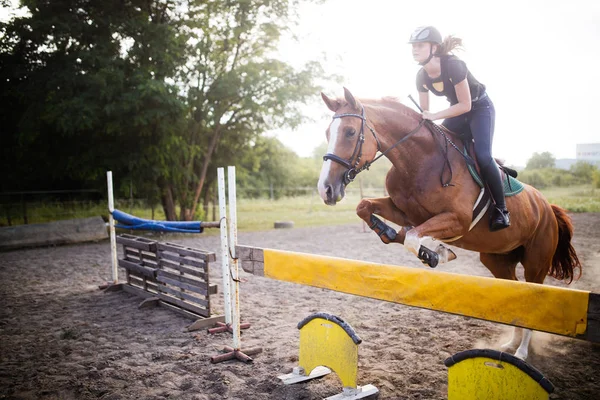 Cavalo De Baía Com Garota De Jóquei Pulando Sobre Um Obstáculo. Um