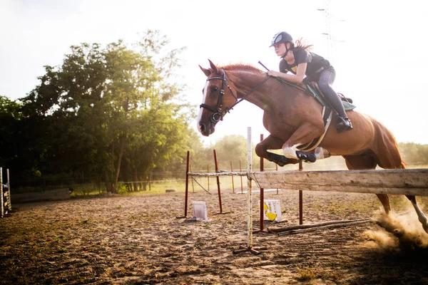 Αναβάτης σε άλογο, πηδώντας πάνω από εμπόδιο — Φωτογραφία Αρχείου