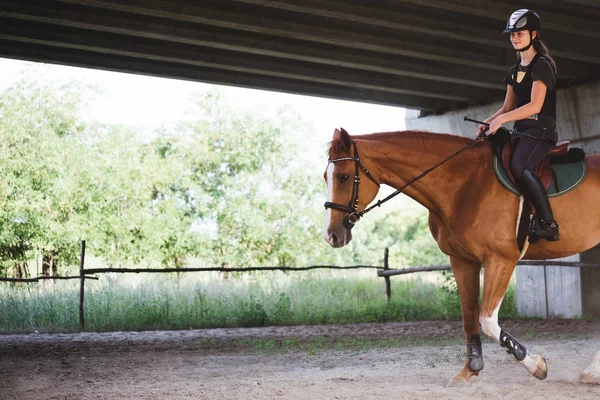 Young woman riding her horse — Stock Photo, Image