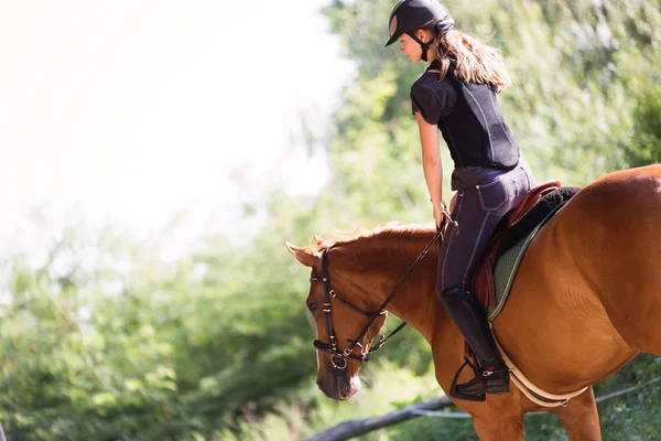 Mulher equitação cavalo no campo — Fotografia de Stock