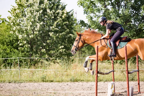 Jockey no cavalo pulando sobre obstáculo — Fotografia de Stock