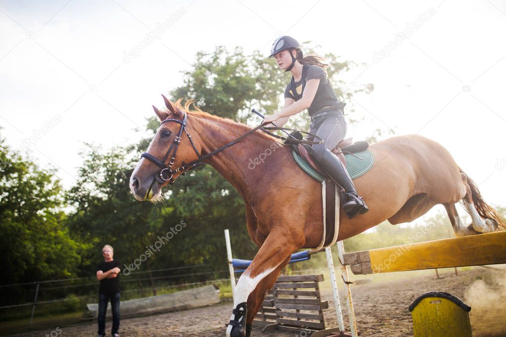  jockey on horse leaping over hurdle