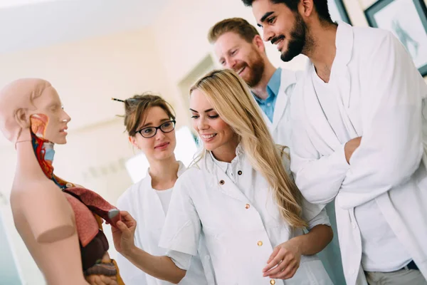 Estudiantes de medicina examinan modelo anatómico — Foto de Stock