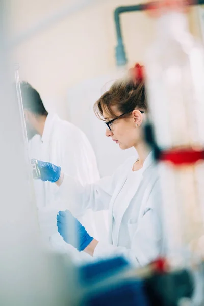 Student van de chemie werkt in laboratorium — Stockfoto