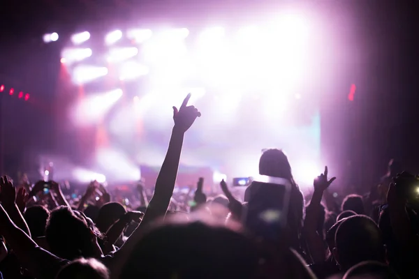 Animando a la multitud feliz en concierto — Foto de Stock