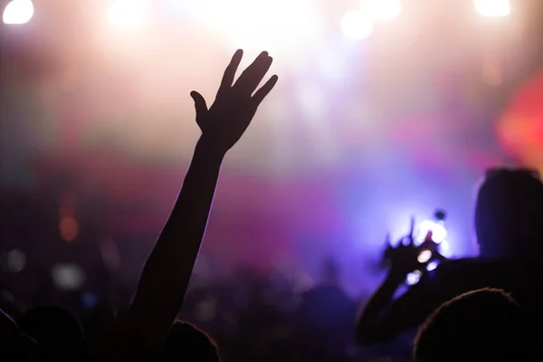 Animando a la multitud feliz en concierto — Foto de Stock