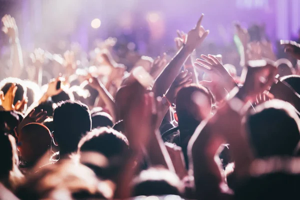 Animando a la multitud feliz en concierto — Foto de Stock