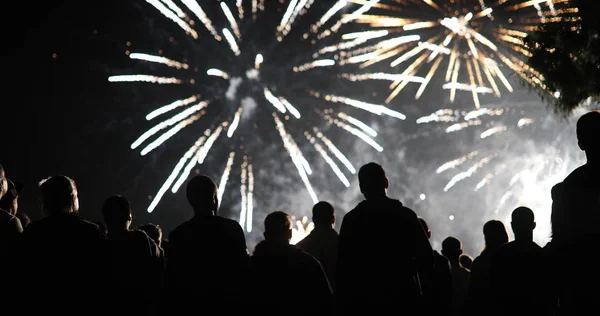 Crowd watching fireworks — Stock Photo, Image