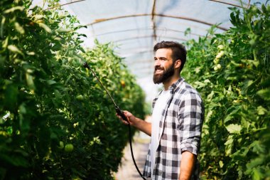 Genç çiftçi onun bitki koruma