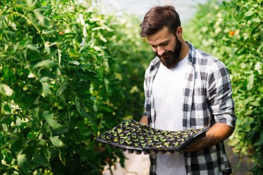 Genç adam tesisi işi