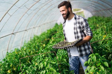 Genç adam tesisi işi