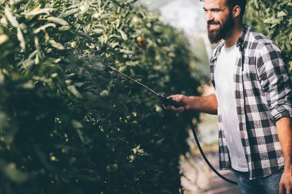 Joven agricultor protegiendo sus plantas — Foto de Stock