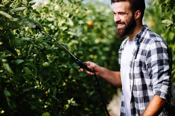 Joven agricultor protegiendo sus plantas — Foto de Stock