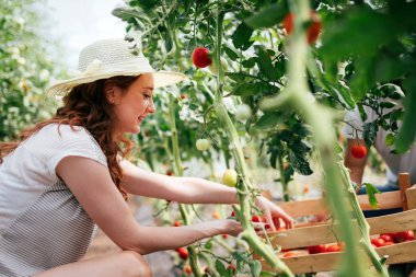 onun serada çalışan kadın çiftçi